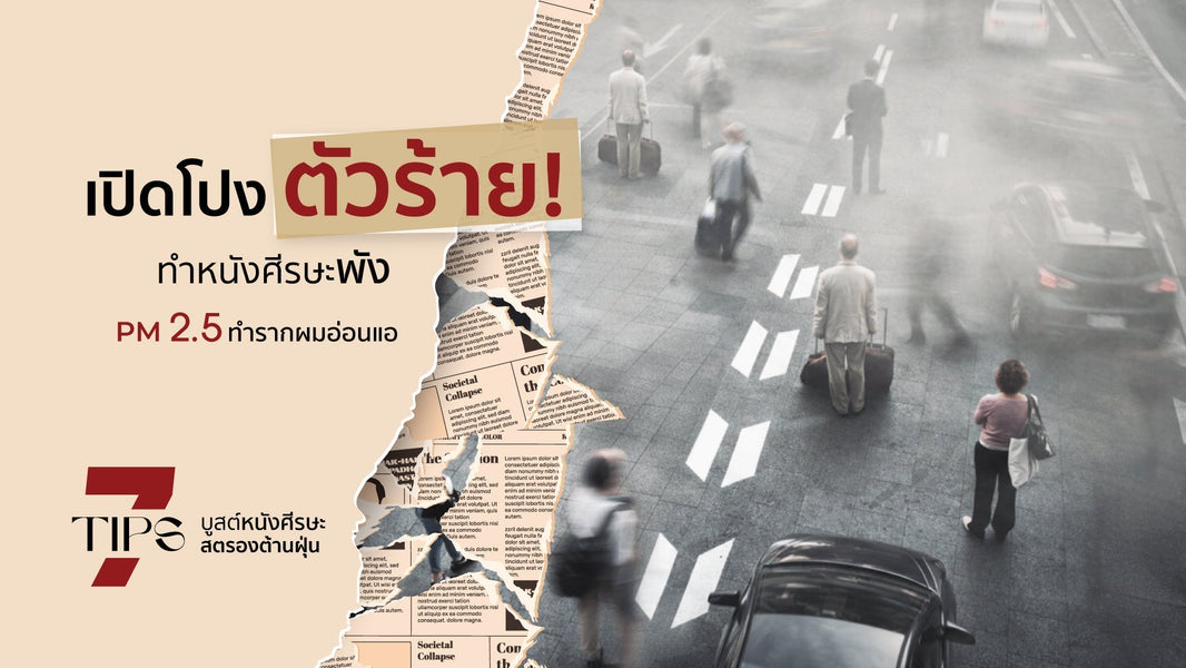 เปิดโปงตัวร้ายทำหนังศีรษะพัง PM2.5 ทำรากผมอ่อนแอ แจก 7 Tips บูสต์หนังศีรษะ สตรองต้านฝุ่น