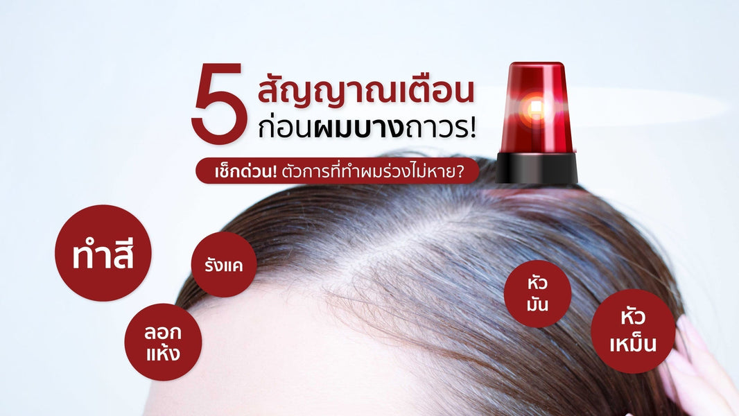 เช็กด่วน! 5 สัญญาณเตือนผมบางก่อนสายเกินไป รู้ทันก่อนผมร่วงถาวร