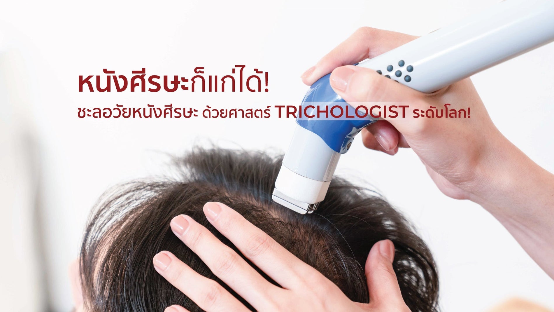 ดูแลหนังศีรษะที่ PAPILLA เหนือระดับกว่า ด้วยสูตรลับจาก Trichologist ระดับโลก