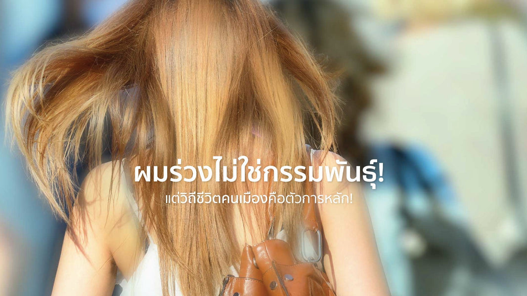 พันธุกรรม ไม่ใช่ทั้งหมด! วิจัยชี้...ต้นเหตุผมร่วงส่วนใหญ่ มาจากไลฟ์สไตล์คนเมือง