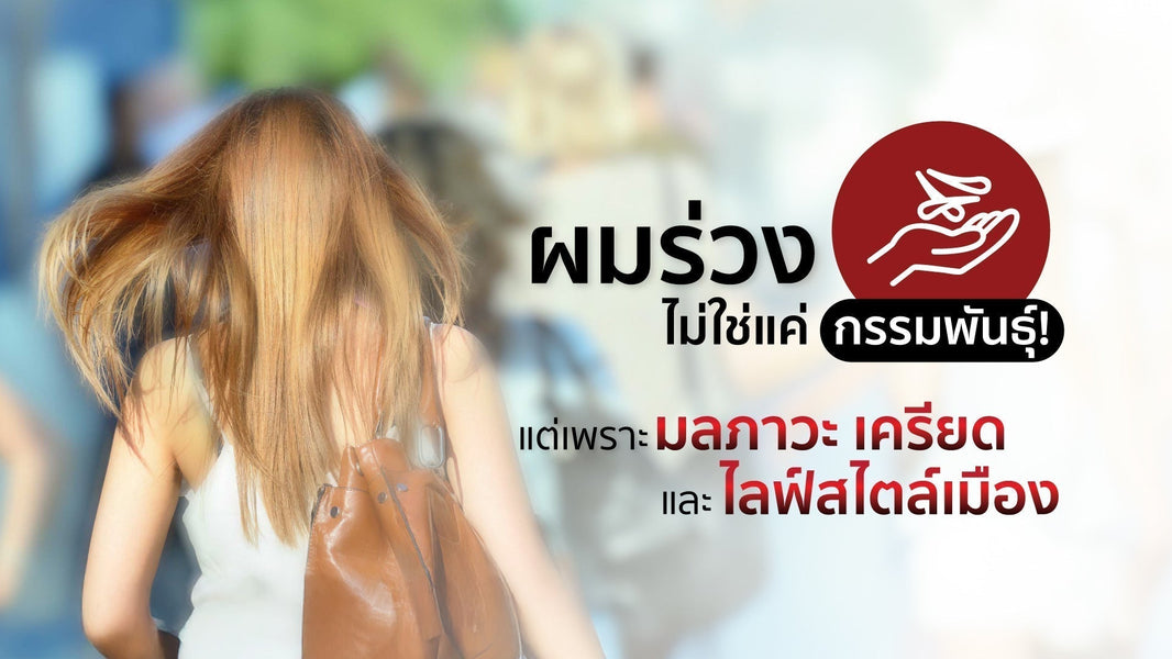 อยู่กรุงเทพ ผมร่วงง่ายขึ้นจริงไหม? มลภาวะ ความเครียด และชีวิตเมืองที่คุณมองข้าม