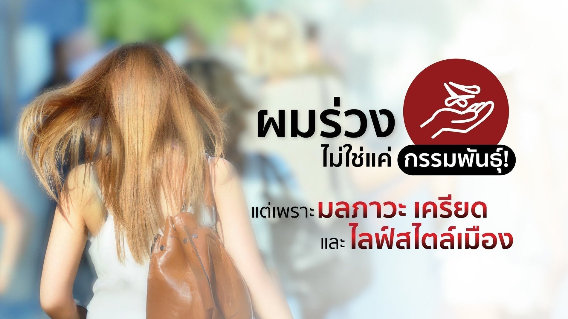 อยู่กรุงเทพ ผมร่วงง่ายขึ้นจริงไหม? มลภาวะ ความเครียด และชีวิตเมืองที่คุณมองข้าม
