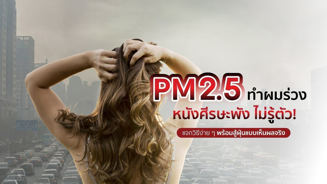 PM2.5 ทำผมร่วง หนังศีรษะพัง ไม่รู้ตัว! แจกวิธีง่าย ๆ พร้อมสู้ฝุ่น